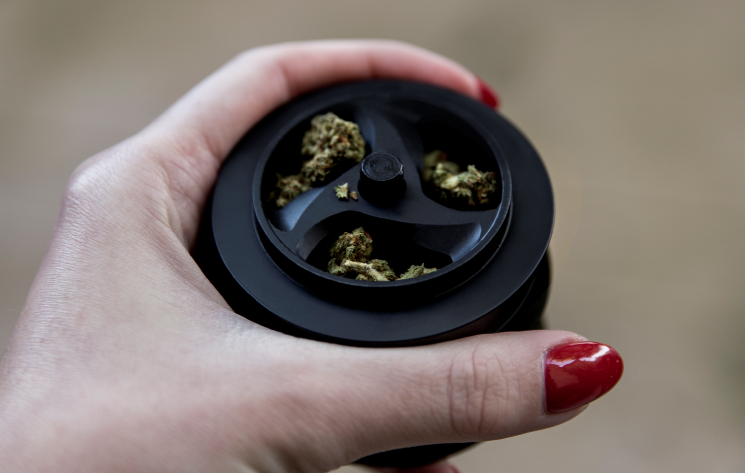 A woman holds a KLIP grinder loaded with cannabis. She is about to grind weed into powder.