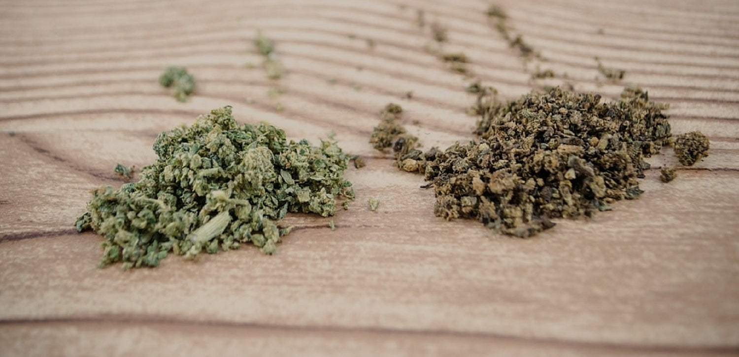 ABV y cannabis fresco