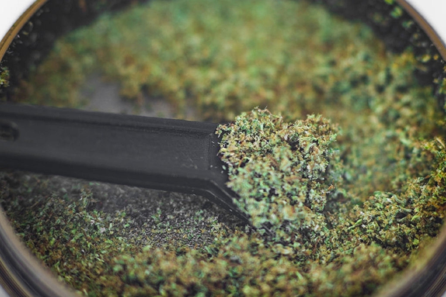 Kief collected from a kief box