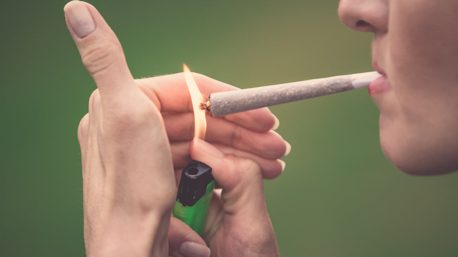 After learning how to roll an F joint, a woman holds a green lighter to the tip of a particularly large cannabis joint.