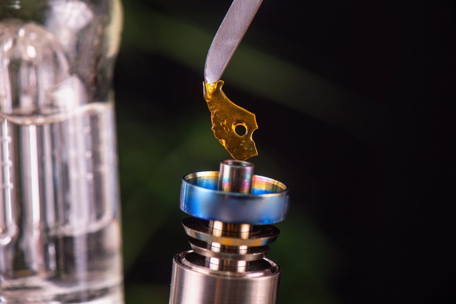 Cannabis concentrate is held to a banger on a dab rig