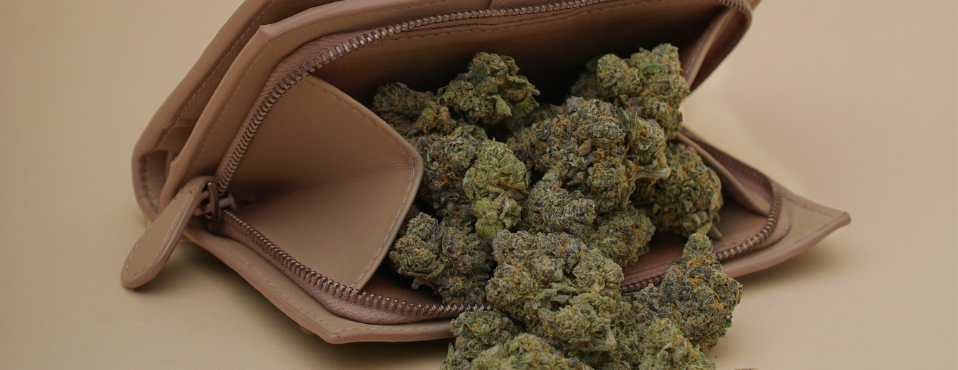 9 Tips You Need to Know to Grow Marijuana Indoors