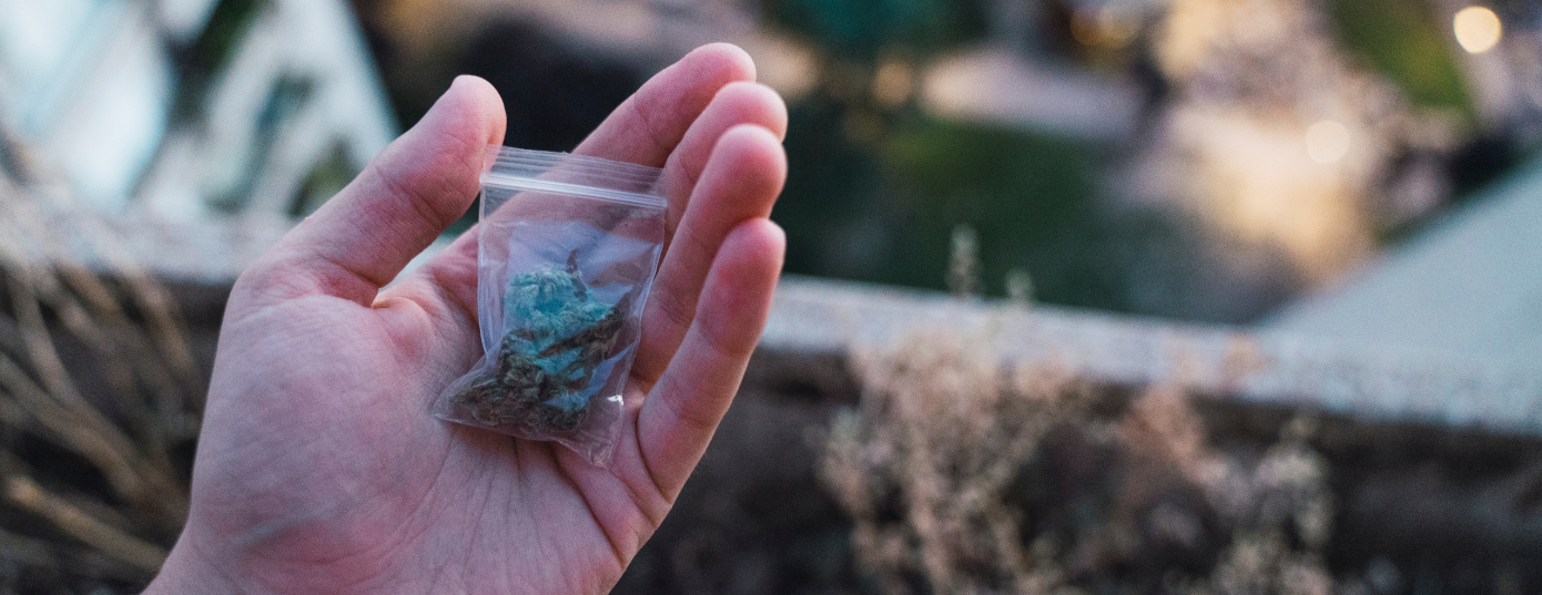 hand with weed on a plastic bag