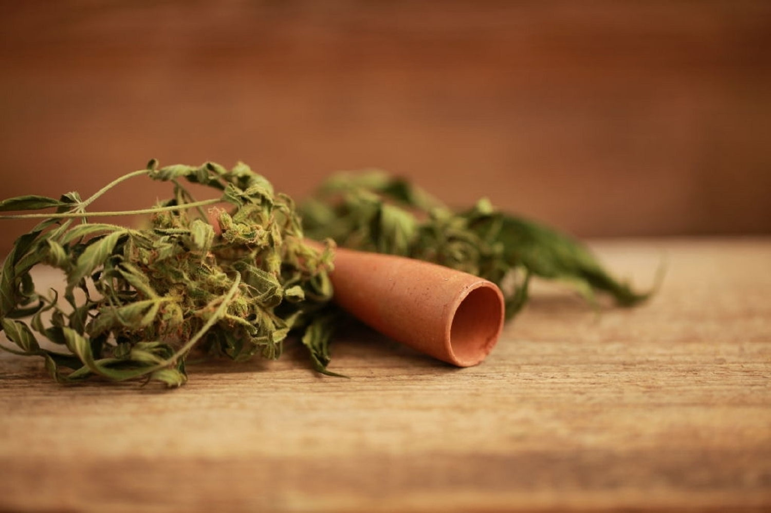 Pipa de un solo golpe junto a canutos de cannabis