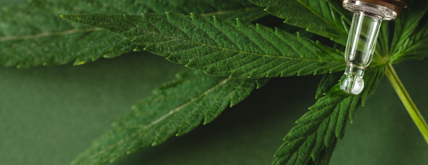 collecteur de nectar