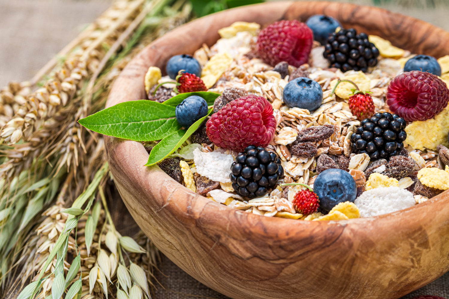 homemade granola with berries