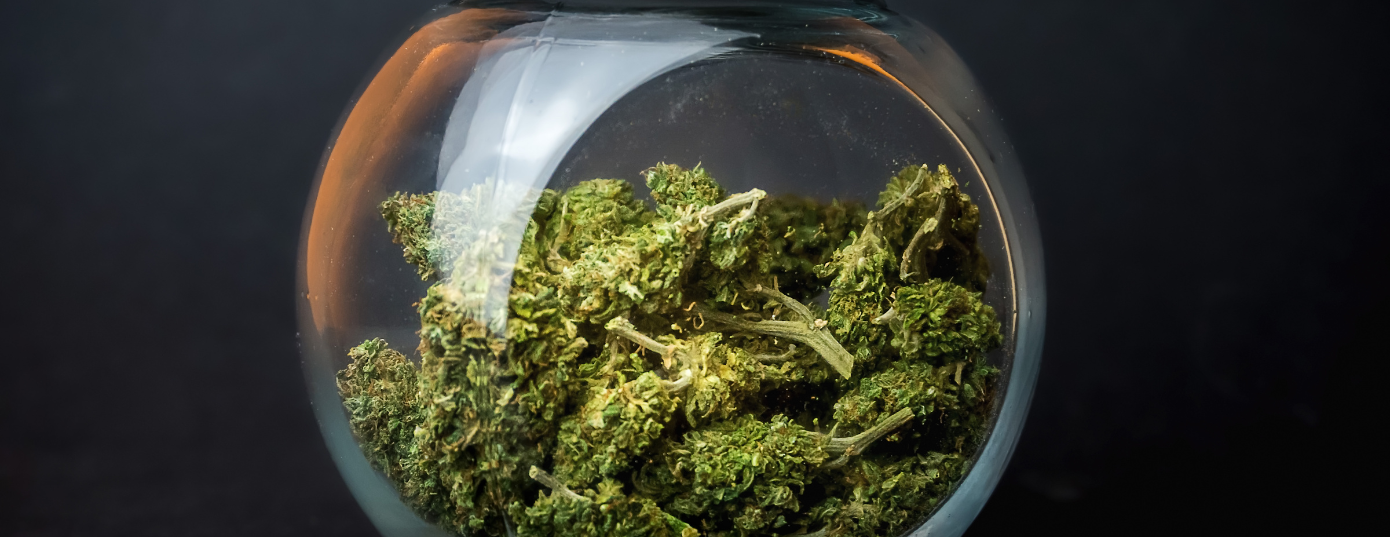 dry weed buds in a cristal jar