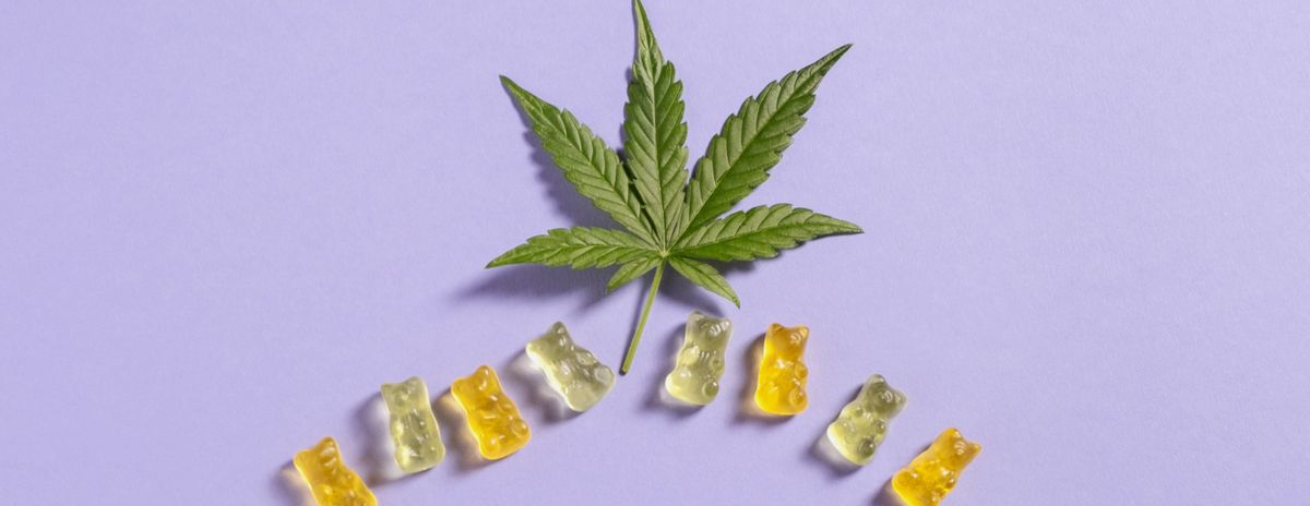 Edible weed gummy bears with a cannabis plant
