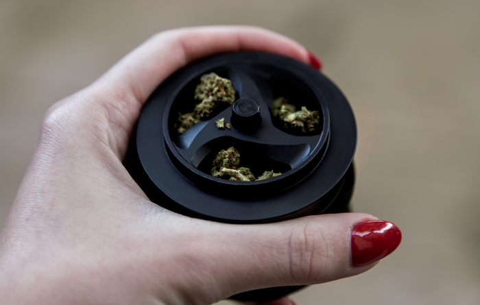 A woman holds a KLIP grinder loaded with cannabis. She is about to grind weed into powder.