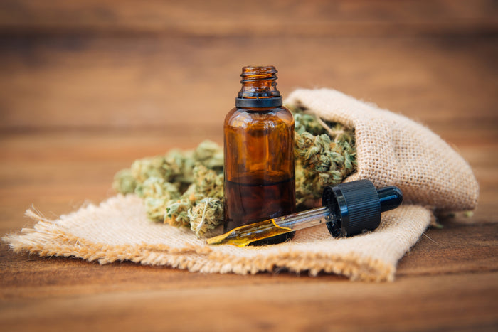 A tubs of CBD oil sits in front of a bottle of hemp oil. Cannabis bus sit in the background. 
