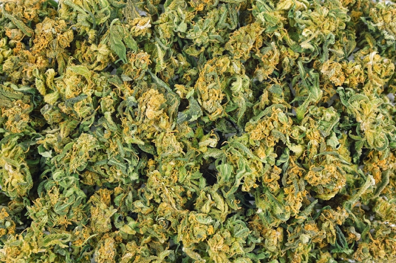 Ground cannabis flower