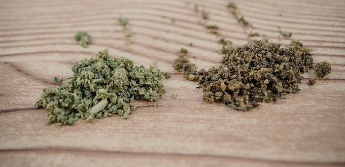 ABV and fresh cannabis