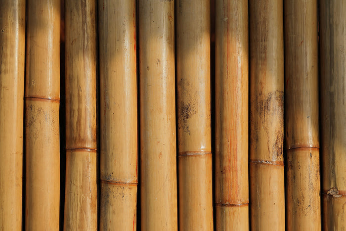 Bamboo for a bamboo pipe
