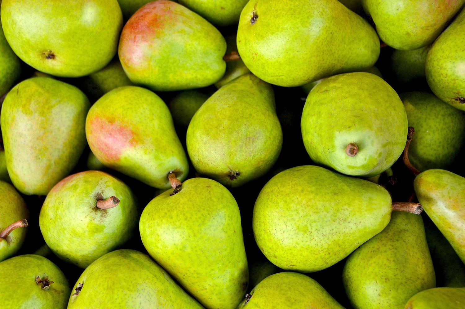 Bright green pears for a pear pipe