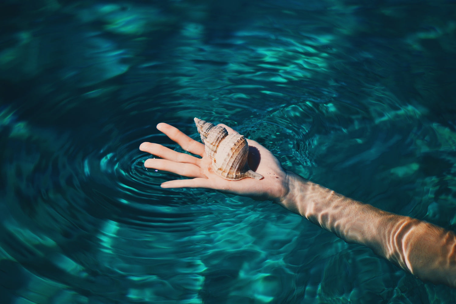 Hand holding a seashell pipe