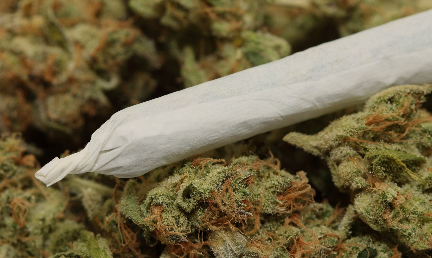 Joint rolled with a pencil