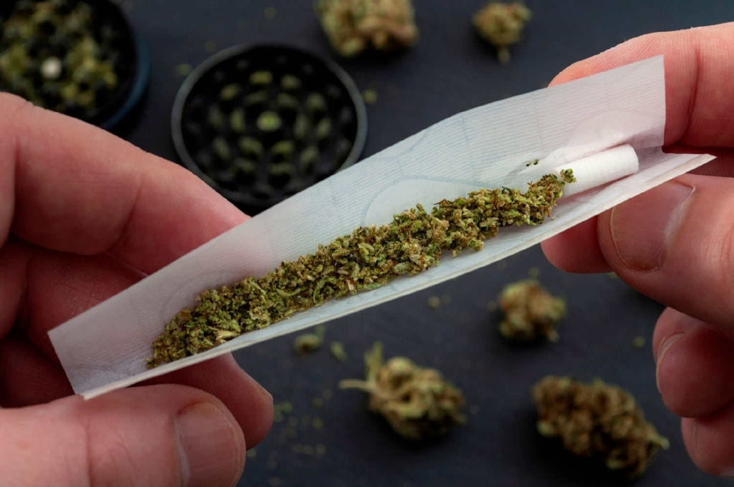 Hands rolling a scorpion joint