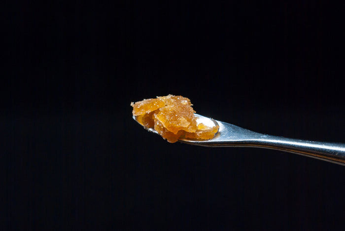 A dab tool holds a golden glistening chunk of live resin cannabis concentrate
