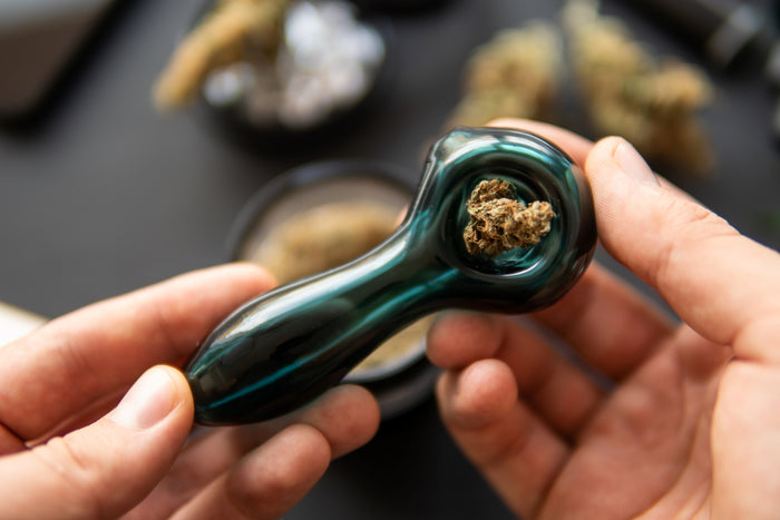 A man holds a packed glass cannabis pipe above a table with marijuana strewn across it