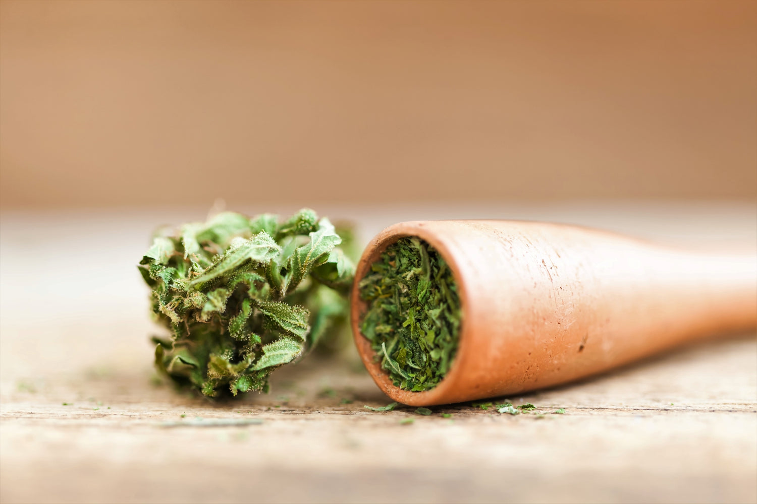 A one hitter cannabis pipe is filled with freshly ground bud