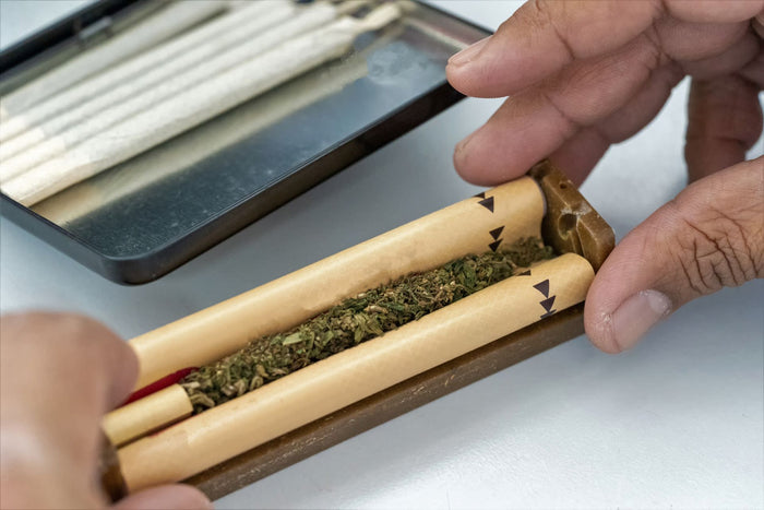 A man uses a joint roller to roll the perfect cannabis spliff