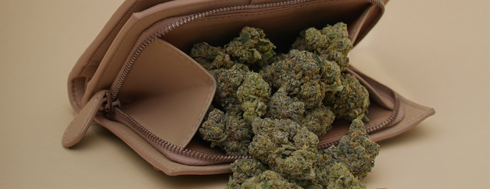 9 Tips You Need to Know to Grow Marijuana Indoors