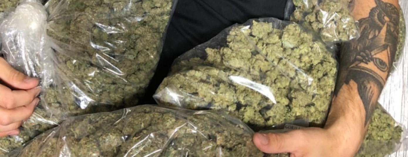 Weed dealer