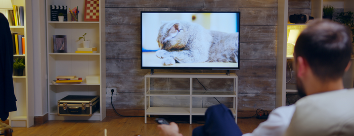 Nature documentaries