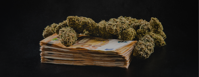 panteonera weed and money