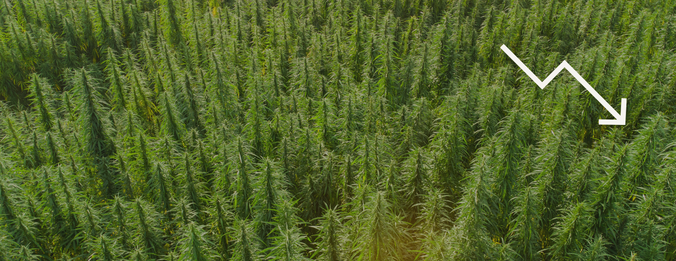 cannabis recession