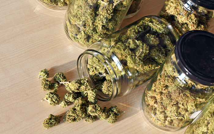 Cannabis flower on cristal jars