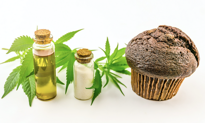cannabis infused oil and chocolate muffin edible