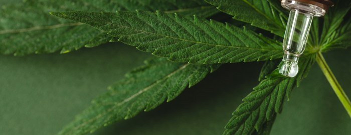 collecteur de nectar