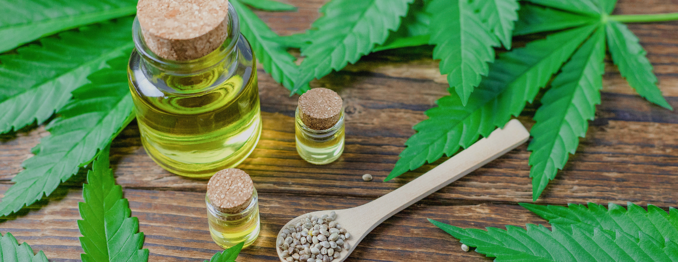 cannabis plants with CBD oil and hamp seeds 