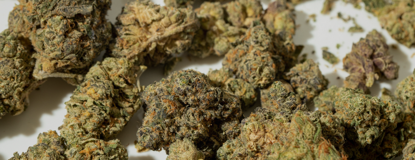Cannabis buds