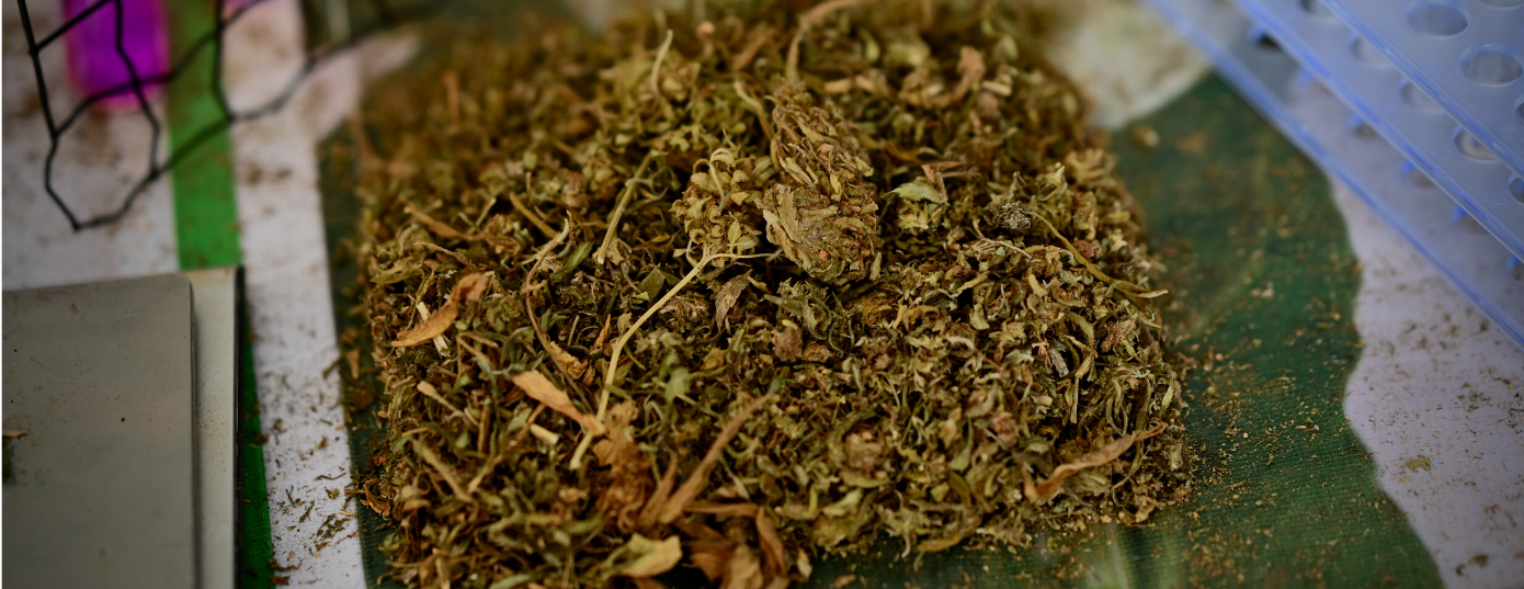 decarbed weed