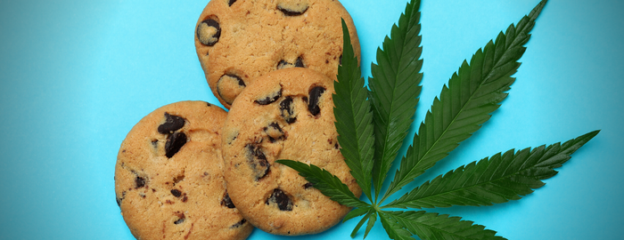 Schokolade-Chip-Keks Unkraut Esswaren 