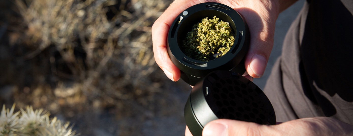open grinder with grinded weed on it