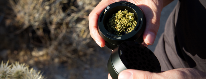 open grinder with grinded weed on it