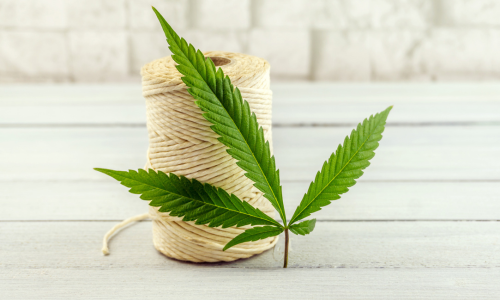 hemp wick and cannabis plant