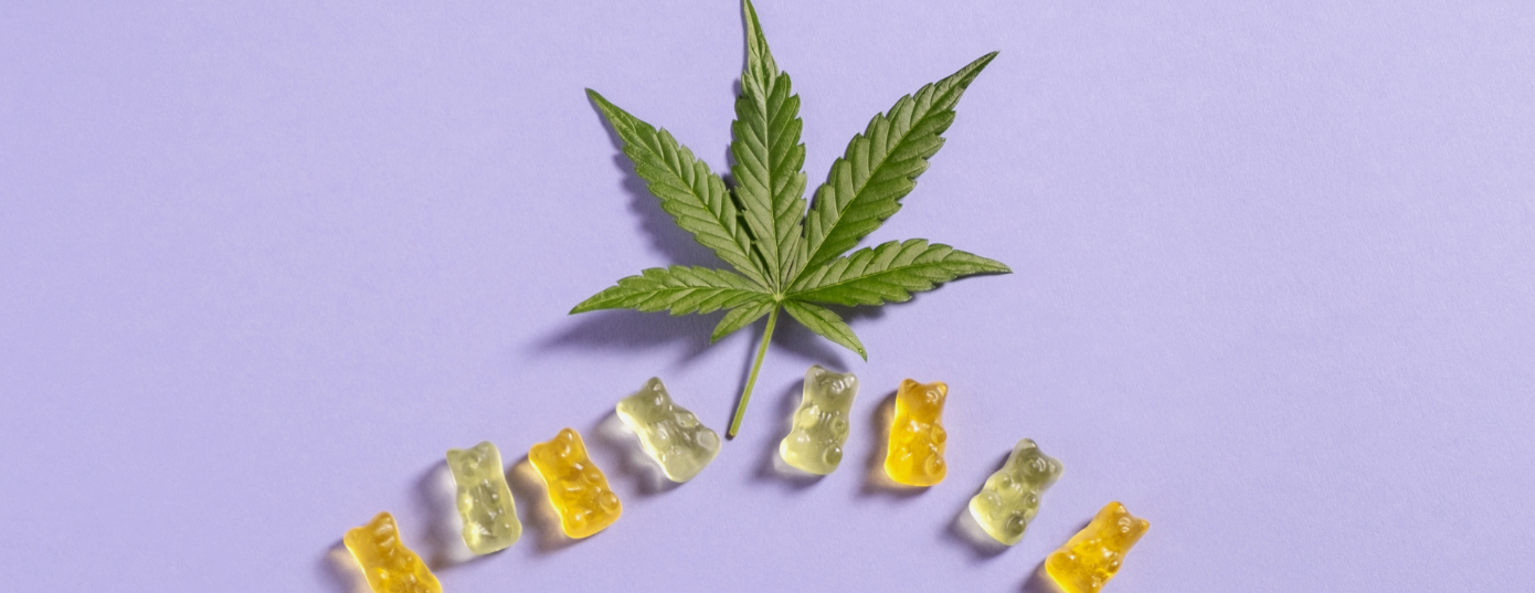 Edible weed gummy bears with a cannabis plant