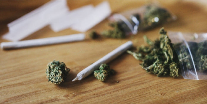 Honey joint next to tasty cannabis nugs