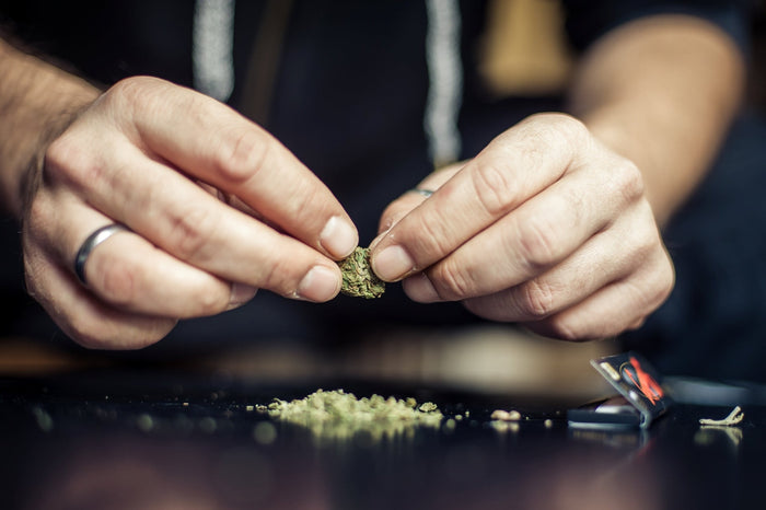 A Caucasian man shows his friend how to grind weed with your hands