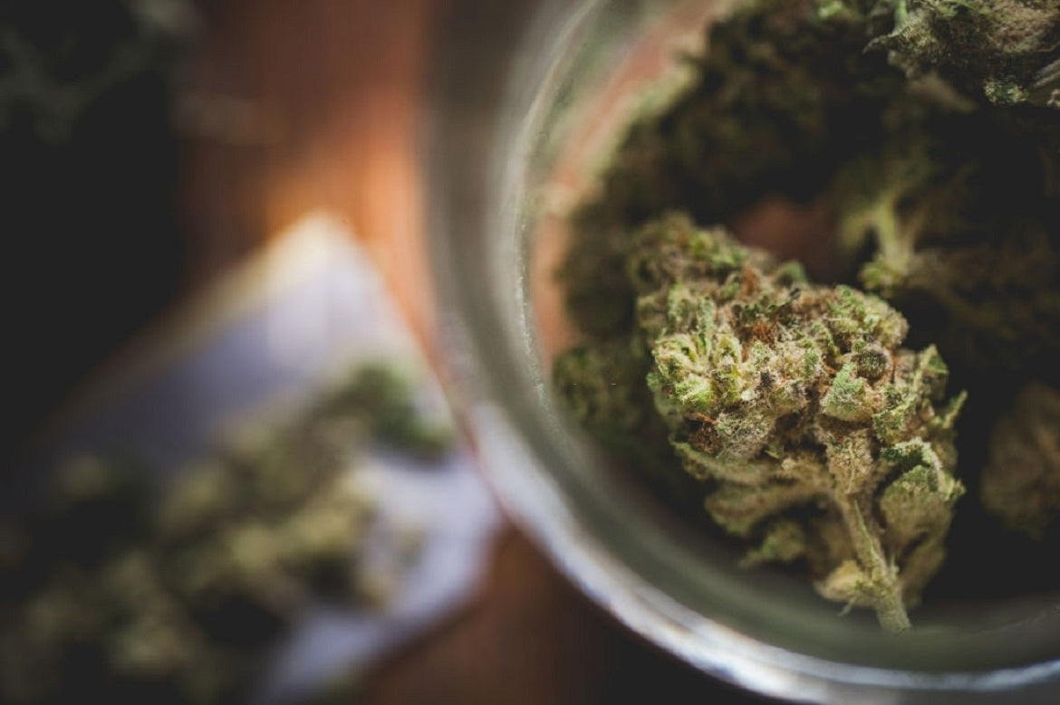Cannabis nugs to be used for a perfect donut joint
