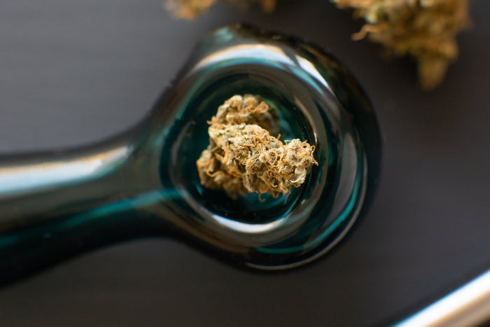 A glass pipe is filled with a cannabis nug
