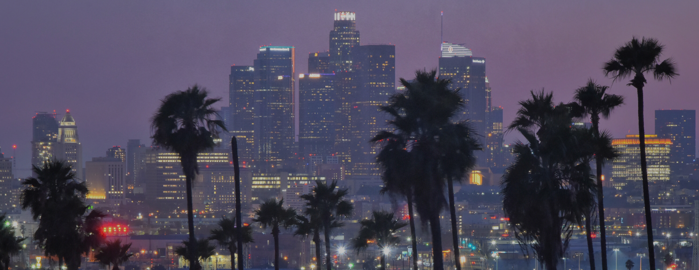 LA view