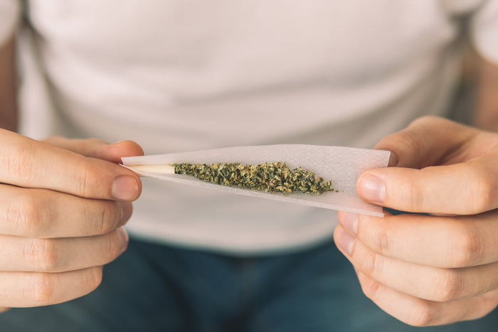 A woman uses rolling papers to create a cannabis joint