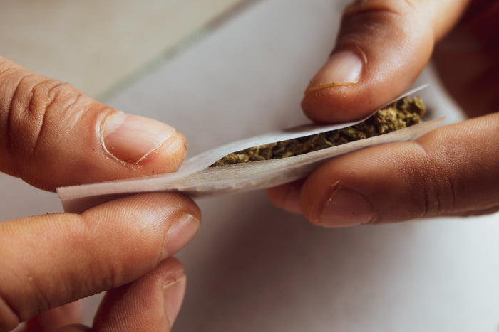 A close up of hands rolling a spliff
