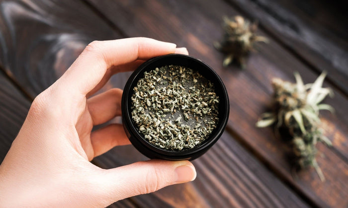 Ready to clean grinder screen