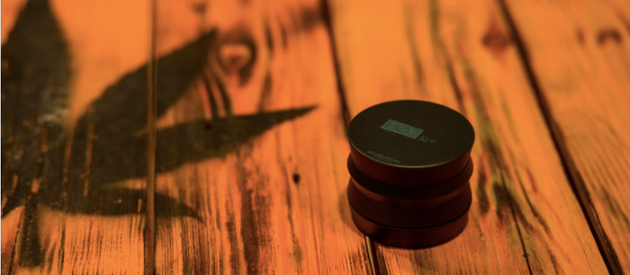 cannabis plant shadow and grinder